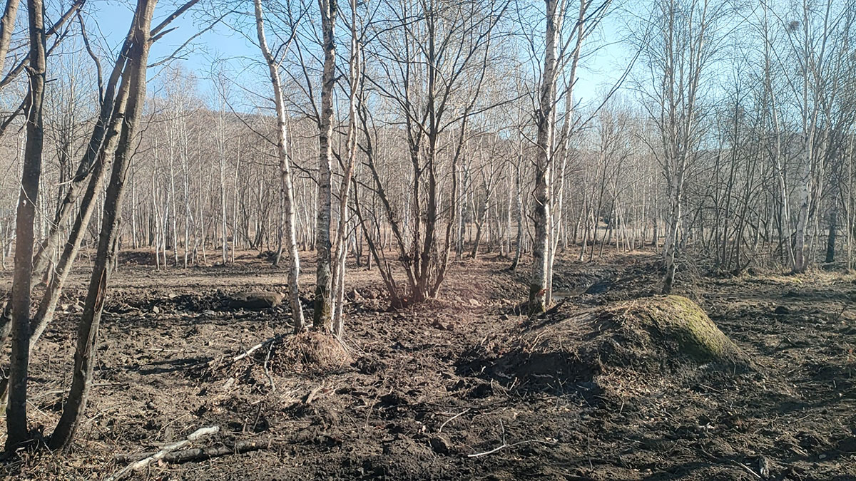 Outdoor playground equipment site (2)